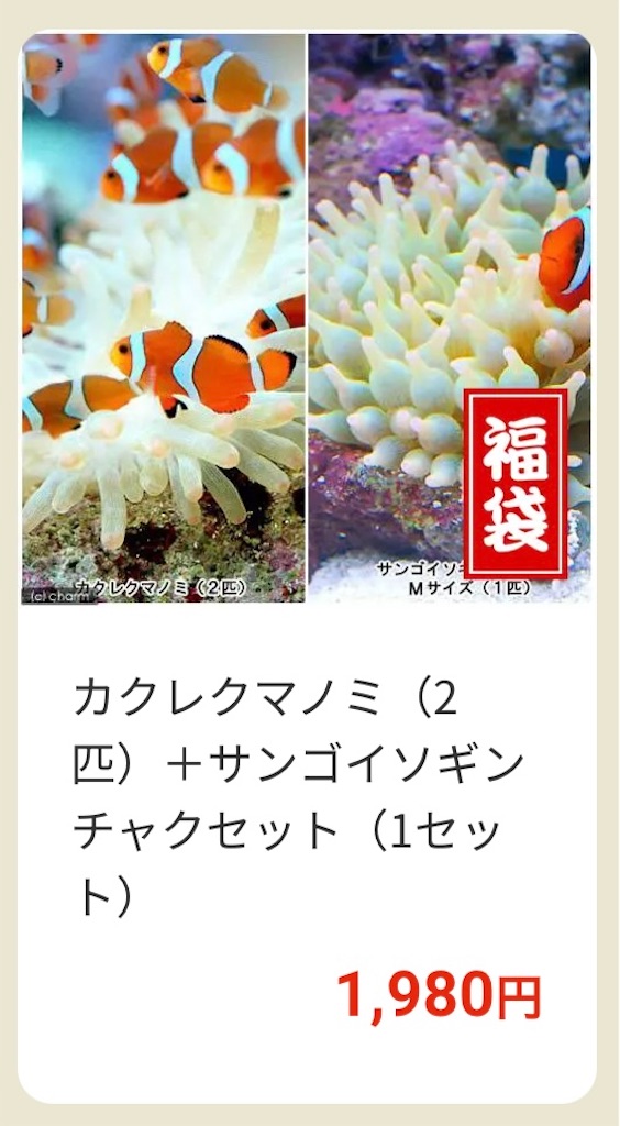 f:id:umigasukix:20251220173720j:image