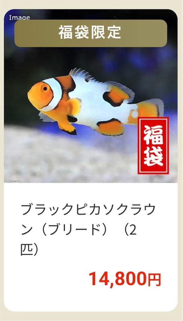 f:id:umigasukix:20251220173724j:image