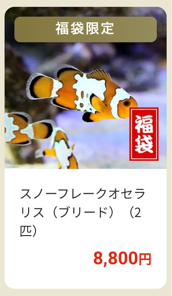 f:id:umigasukix:20251220173727j:image