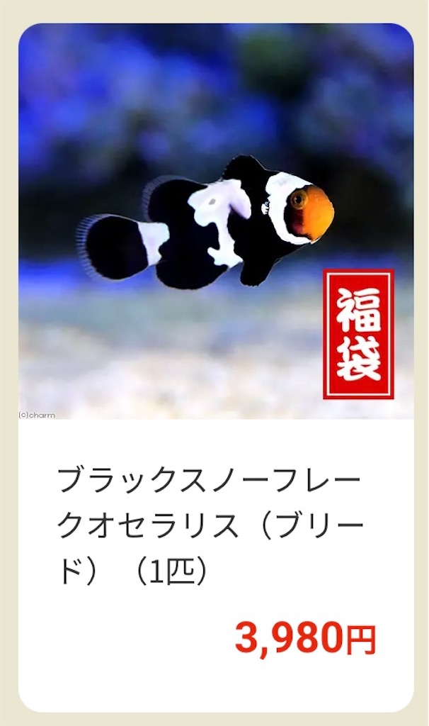 f:id:umigasukix:20251220173730j:image