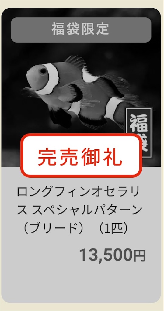 f:id:umigasukix:20251220173733j:image