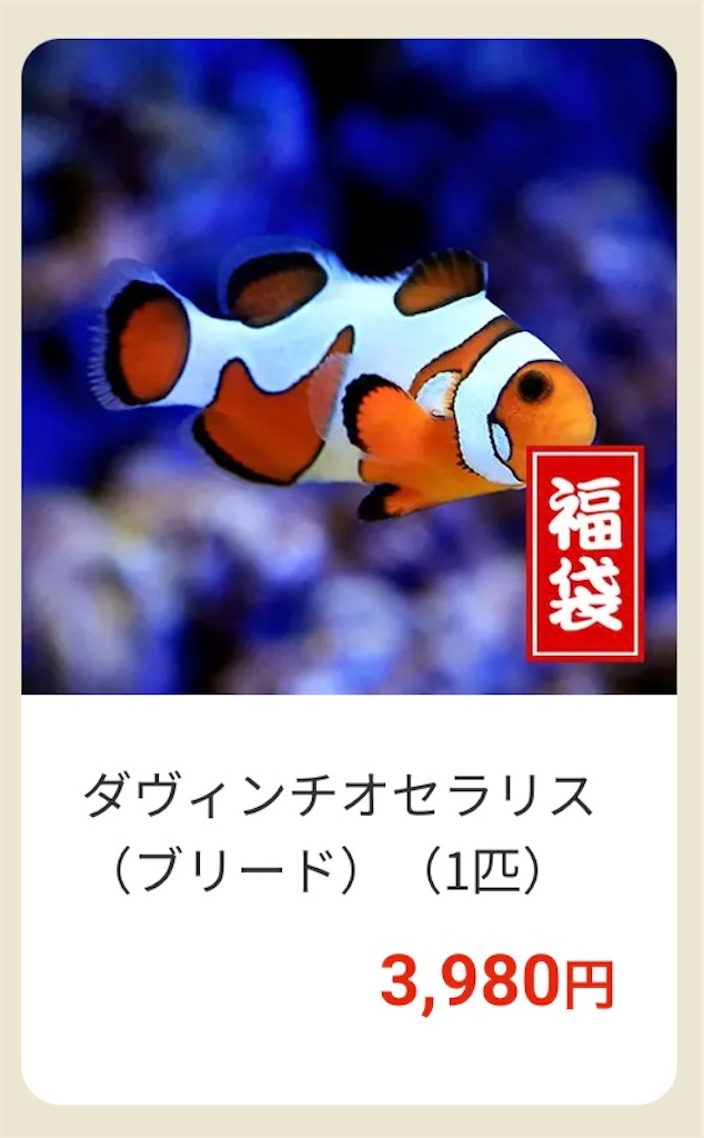 f:id:umigasukix:20251220173736j:image