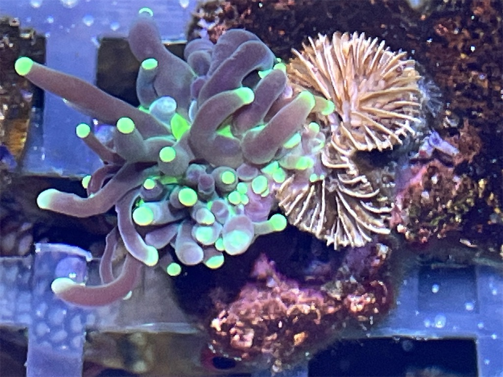 f:id:umigasukix:20251221211016j:image