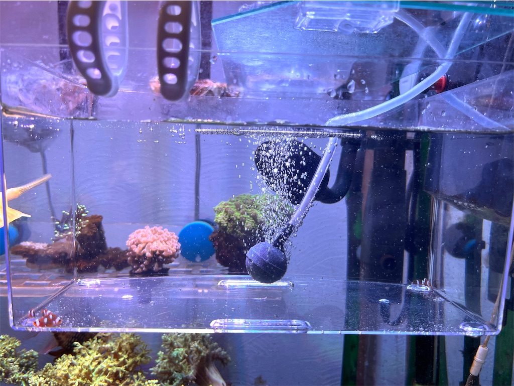 f:id:umigasukix:20251226083048j:image