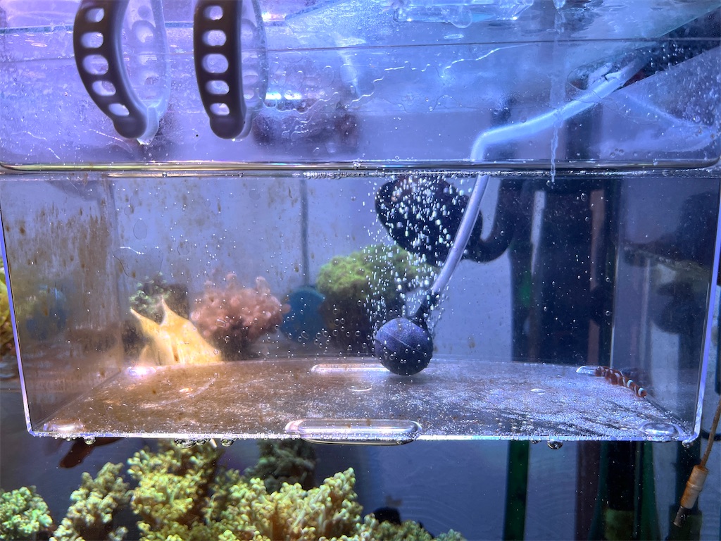 f:id:umigasukix:20251228173409j:image