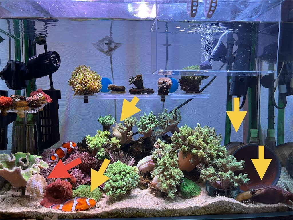 f:id:umigasukix:20251230141028j:image