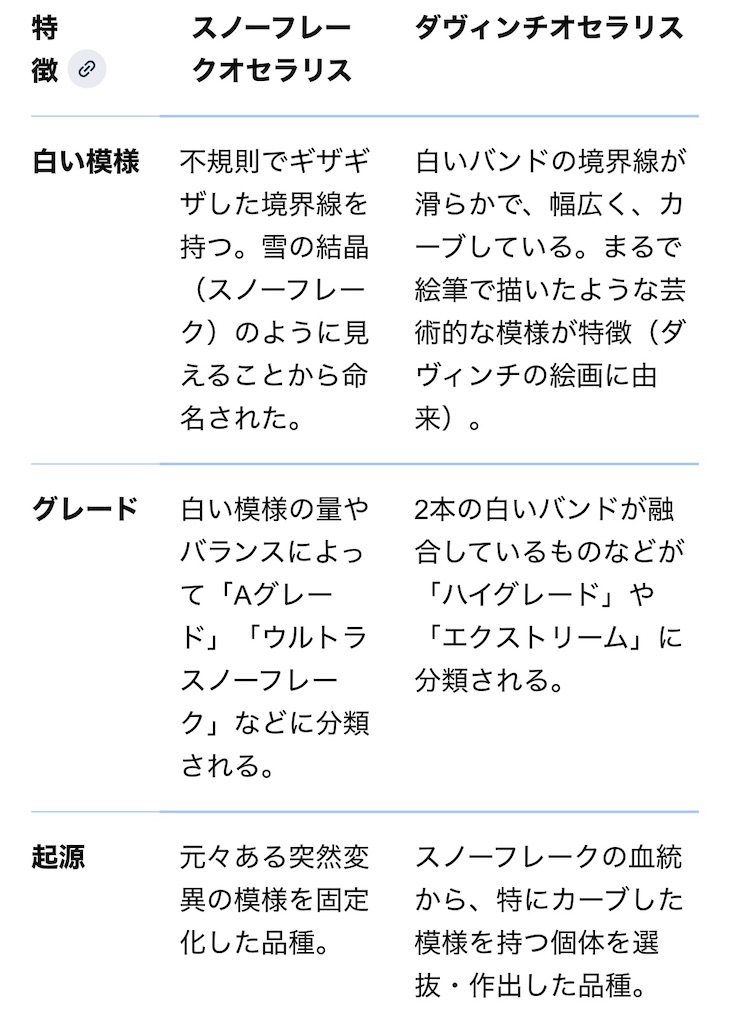 f:id:umigasukix:20260107225837j:image