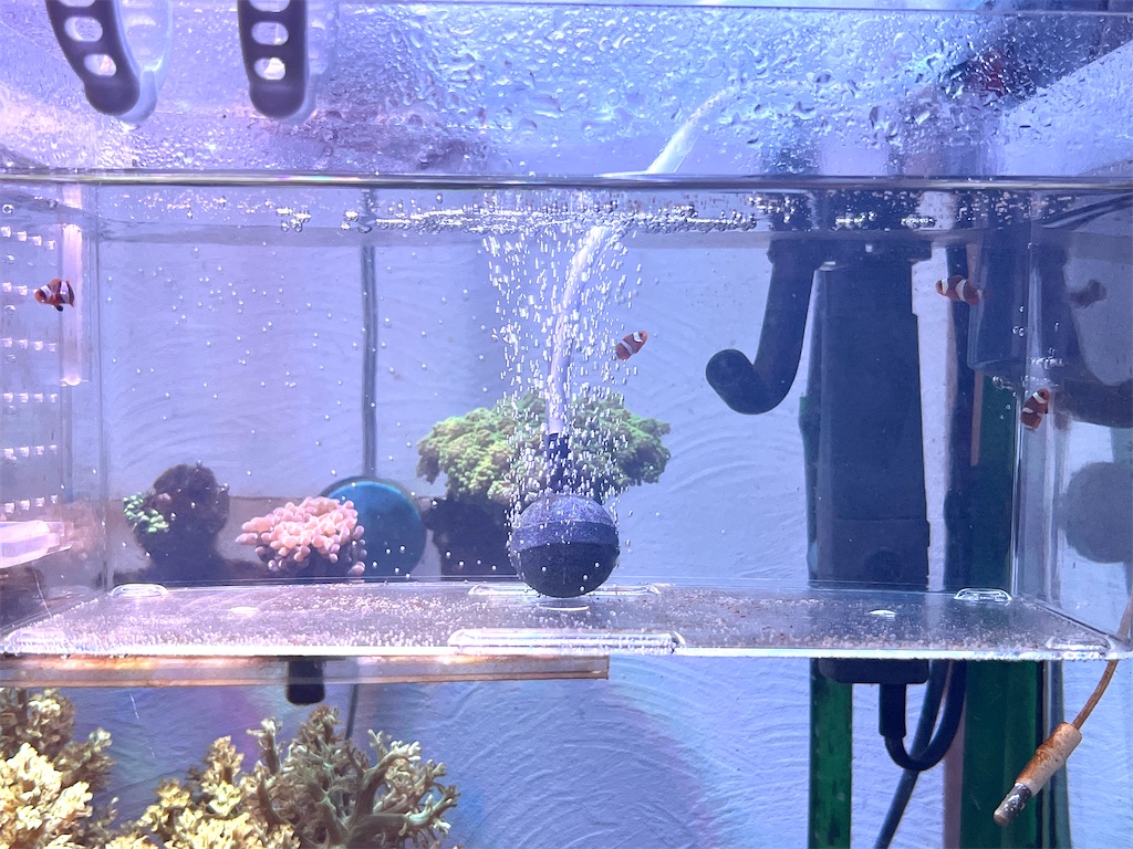 f:id:umigasukix:20260109210504j:image