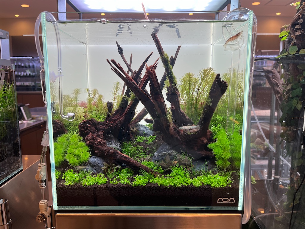 ADA LAB UMEDA 訪問 - 水槽崩壊再出発。そうだブログでも始めよう。