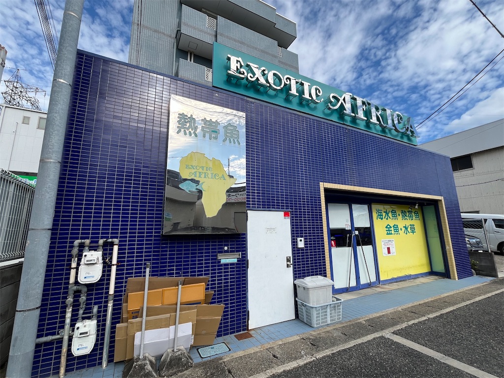 f:id:umigasukix:20260813095521j:image