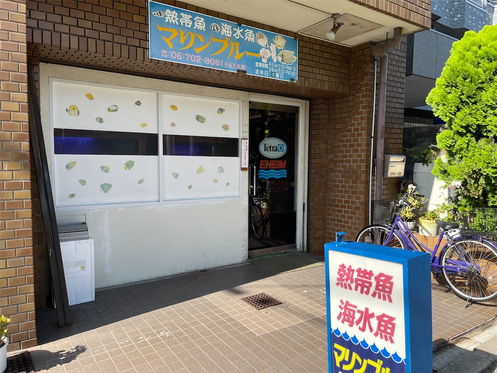 f:id:umigasukix:20260816212134j:image