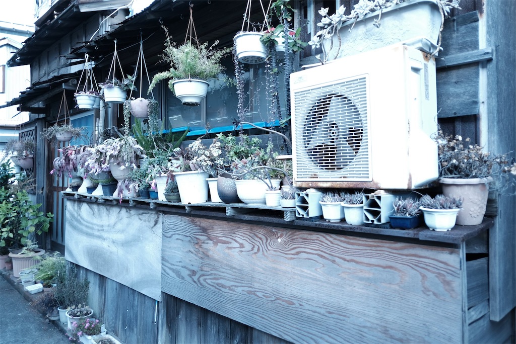 f:id:umihanakuro:20201230150715j:image f:id:umihanakuro:20201230150715j:image
