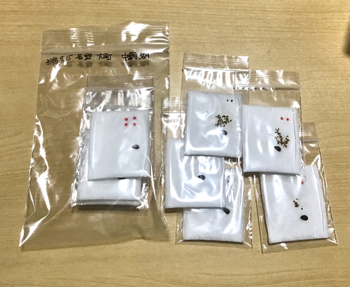 f:id:umihebierabu:20191001005712j:plain