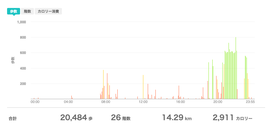 fitbitログより　運動データ