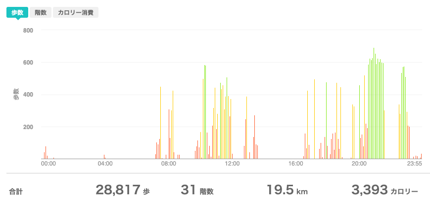 fitbitログより　運動データ