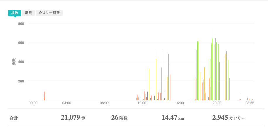 fitbitログより　運動データ