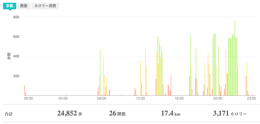 fitbitログより　運動データ