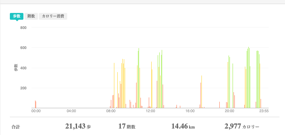 fitbitログより　運動データ