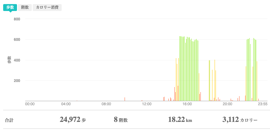 fitbitログより 運動データ