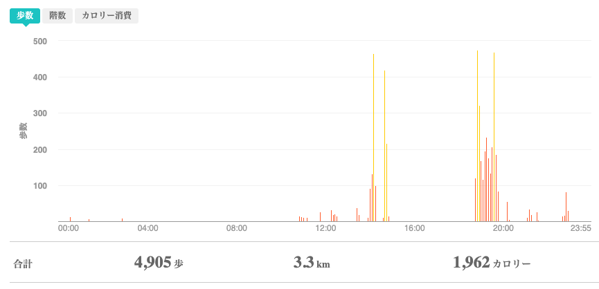 fitbitログより　運動データ