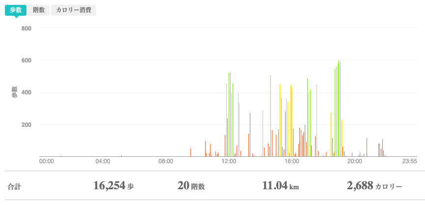 fitbitログより　運動データ