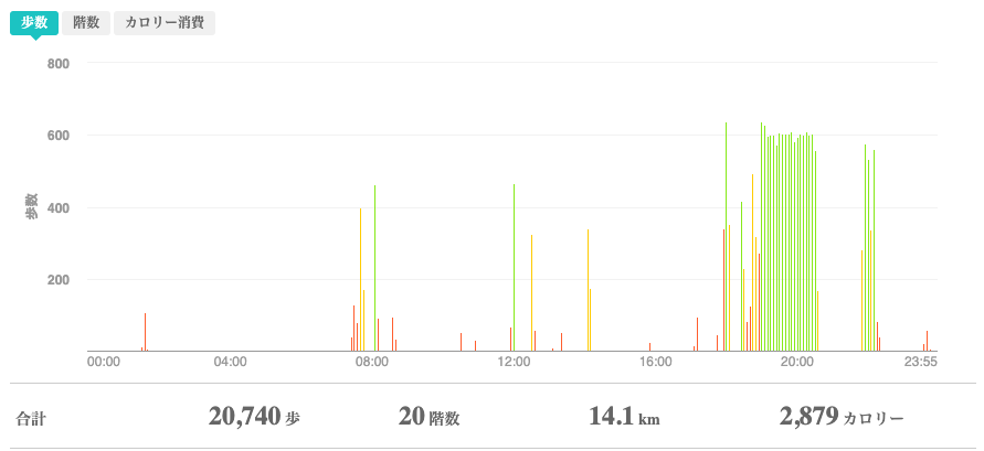 fitbitログより　運動データ