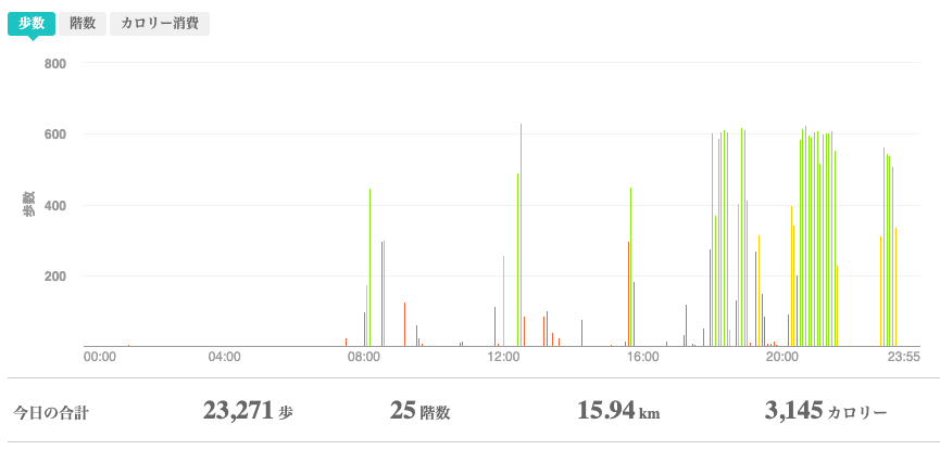 fitbitログより 運動データ