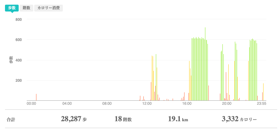 fitbitログより 運動データ