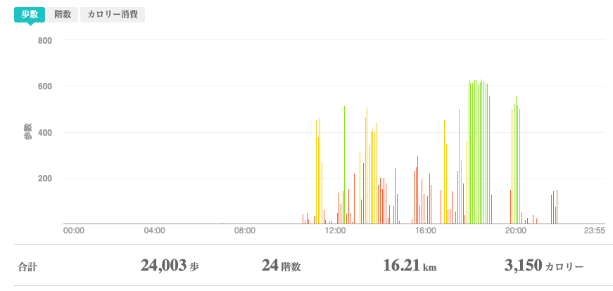 fitbitログより 運動データ