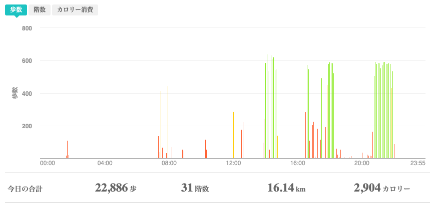 fitbitログより　運動データ