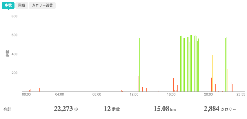 fitbitログより　運動データ