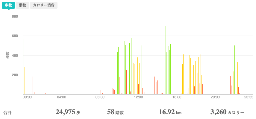 fitbitログより　運動データ
