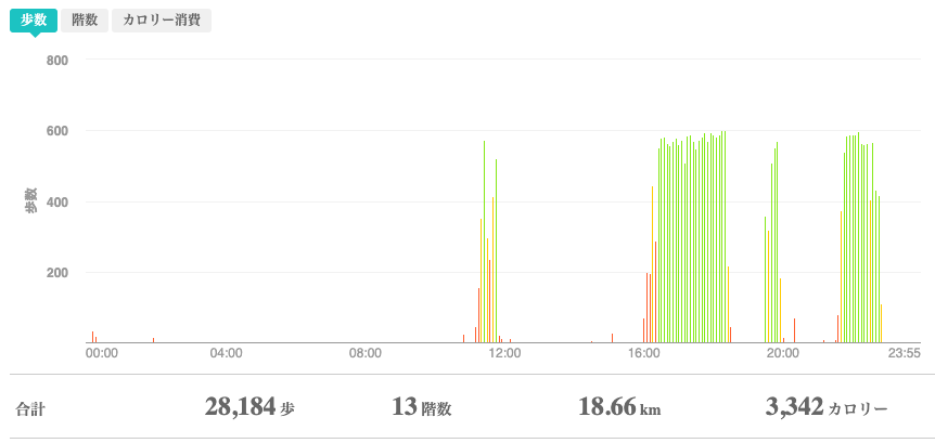fitbitログより　運動データ