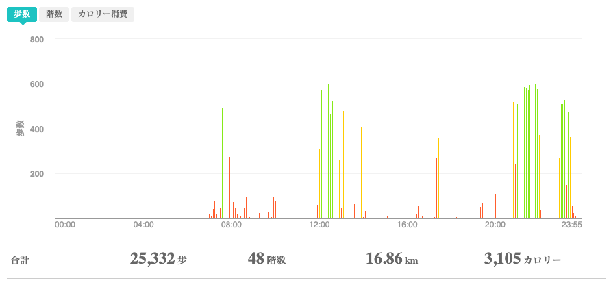 fitbitログより　運動データ