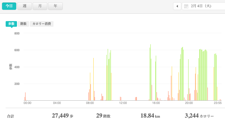 fitbitログより　運動データ