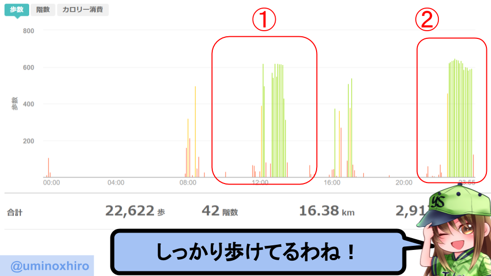 fitbitログより 運動データ