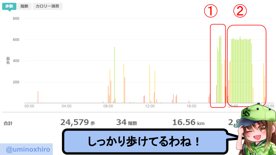 fitbitログより 運動データ