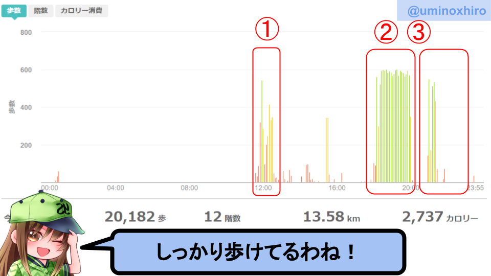 fitbitログより 運動データ