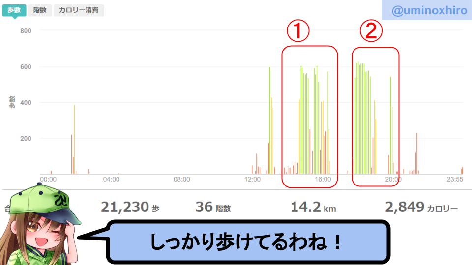 fitbitログより 運動データ
