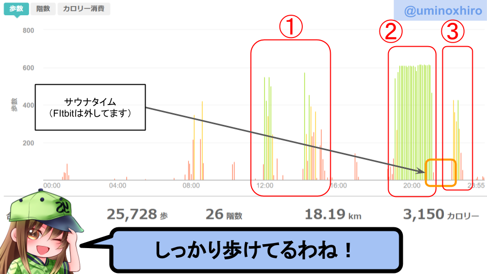 fitbitログより 運動データ