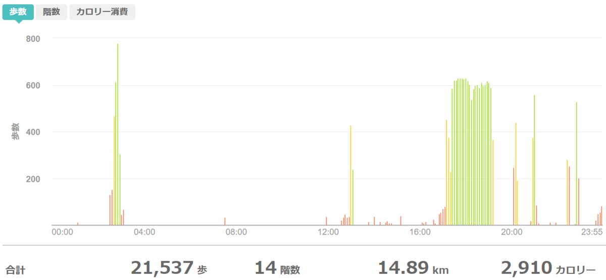 fitbitログより 運動データ