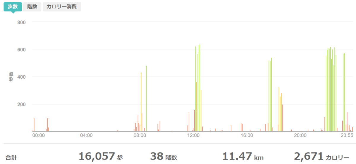 fitbitログより 運動データ