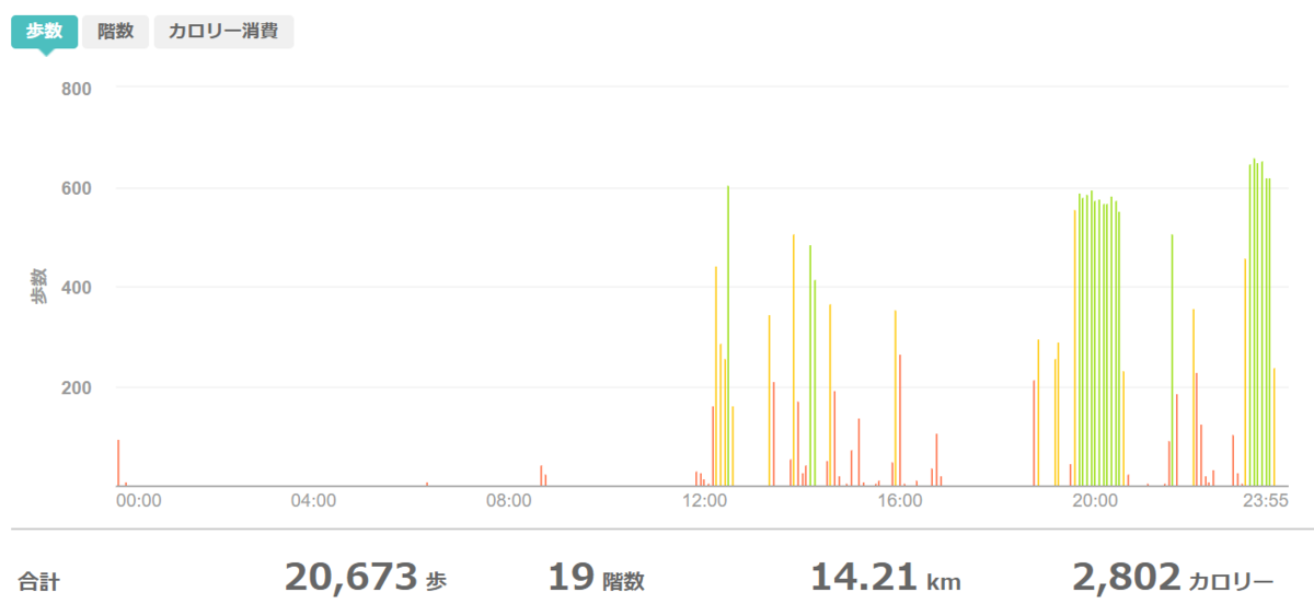 fitbitログより 運動データ