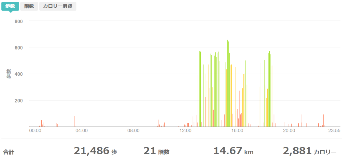 fitbitログより 運動データ