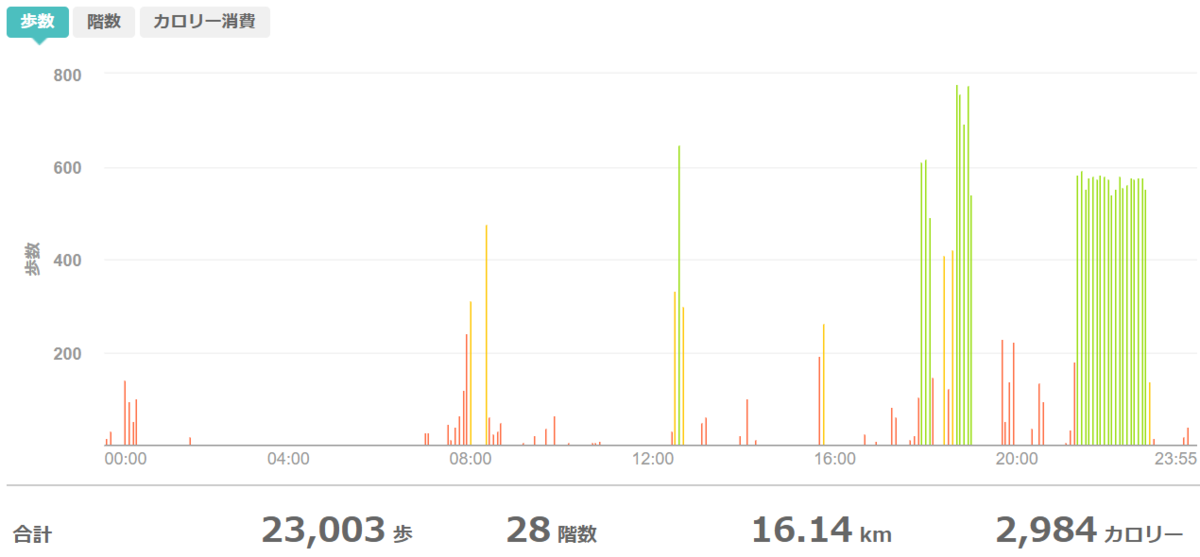 fitbitログより 運動データ