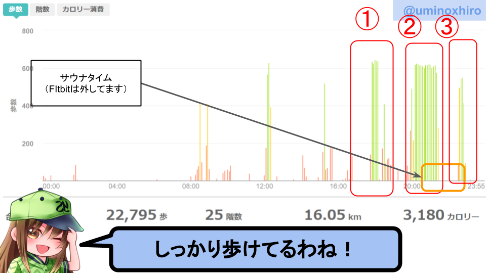 fitbitログより 運動データ