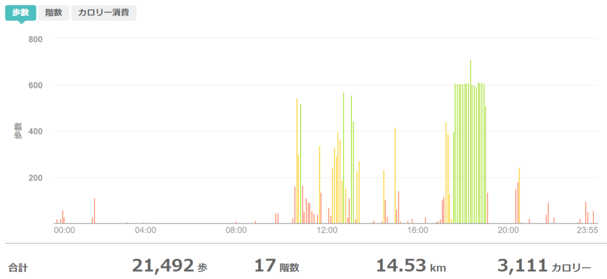 fitbitログより 運動データ