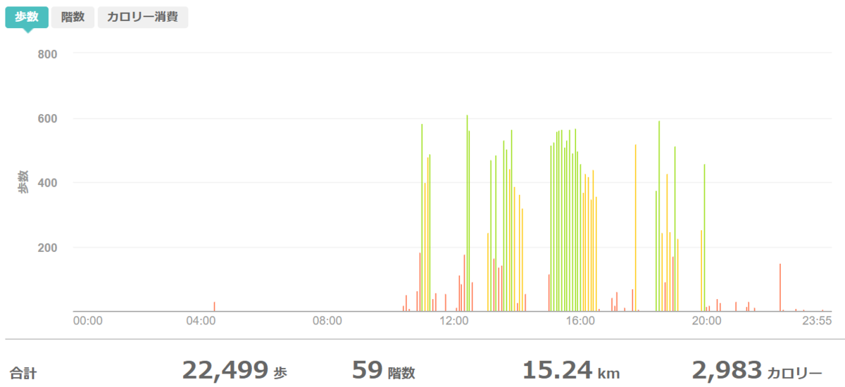 fitbitログより 運動データ