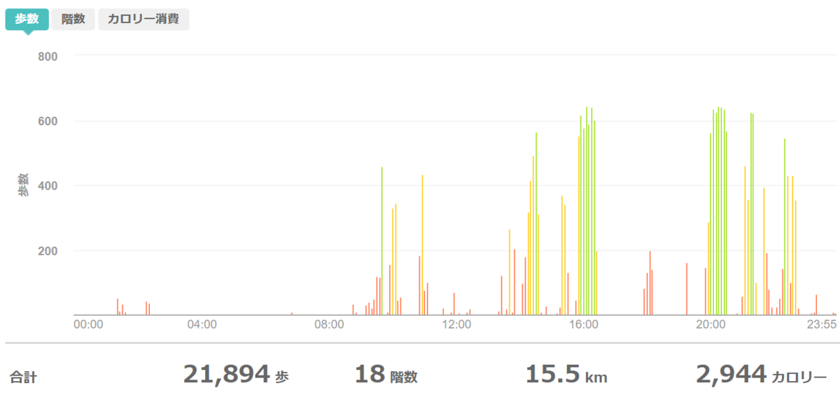 fitbitログより　運動データ