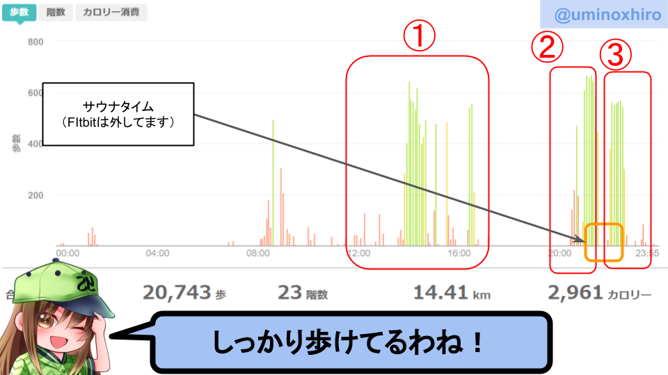 fitbitログより　運動データ